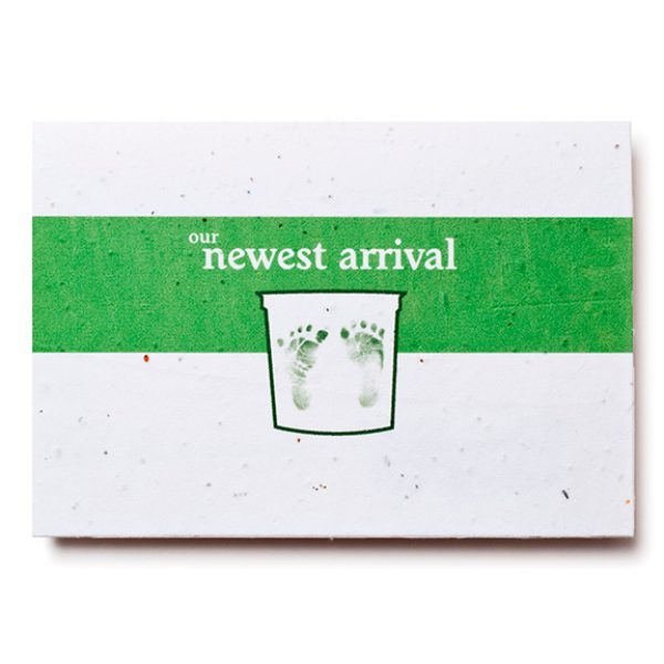 Large Seed Paper Card - PSC - Large - Image 3