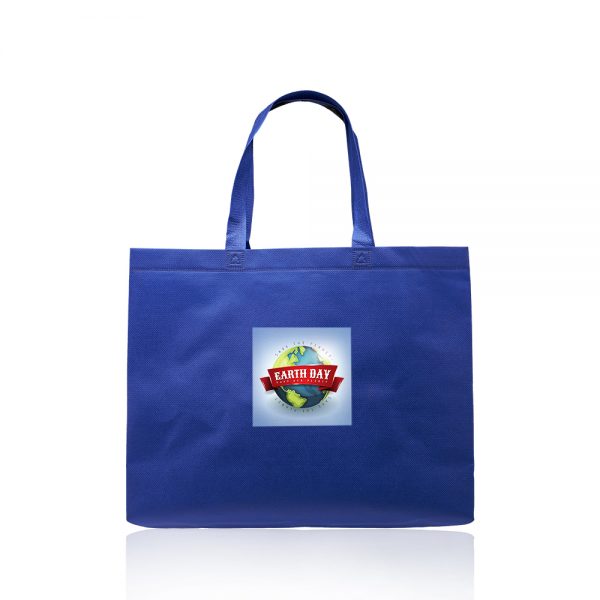 Delhi Jumbo Sized Tote Bags ATOT245 (21L x 16.5W x 15H) - Image 3