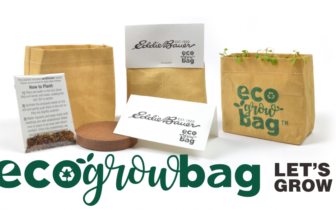 Eco Friendly Seed Paper